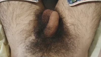 Bomvemcam live from Brazil