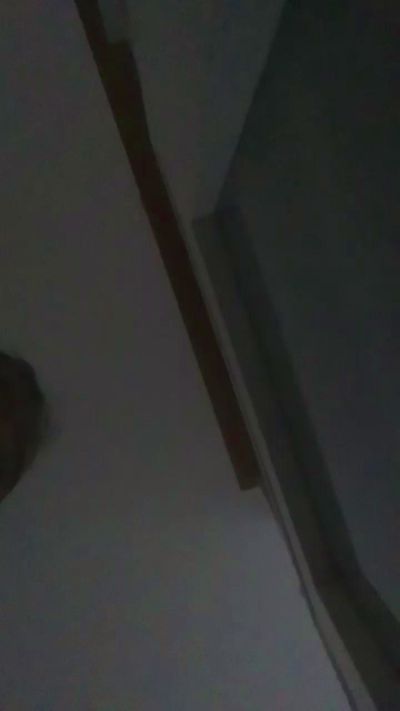 Maxiviking92 live from Argentina