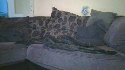 Samlatty007 live from United Kingdom