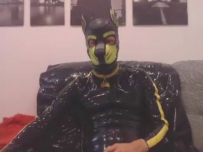 puppy_tomik live from Czechia